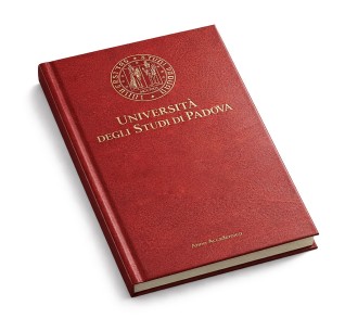 Copertine Tesi Similpelle Tramate | Plastitech