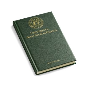 Transfer foil per tesi | Plastitech