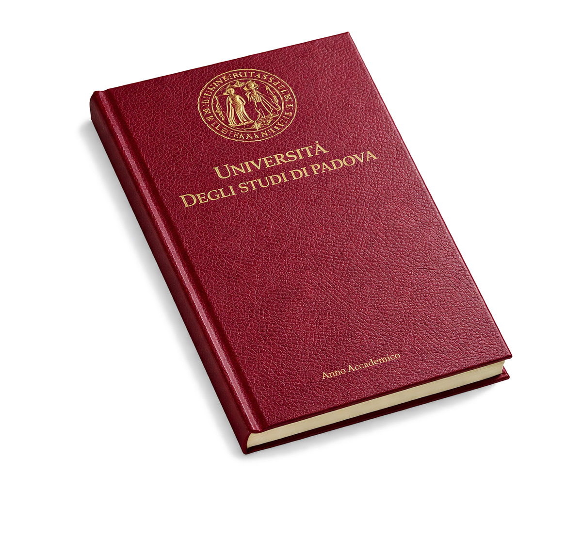 Copertine tesi similpelle